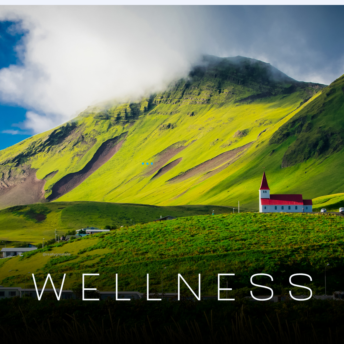 Wellness